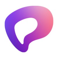 Pay Theory, Inc. logo