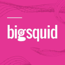 Big Squid, Inc. logo
