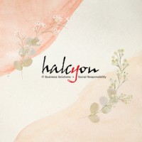 Halcyon Solutions, Inc. logo