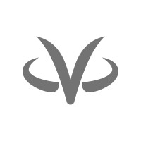 VirtualZ Computing Corporation logo