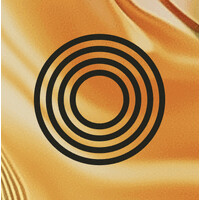 Stable Sea, Inc. logo