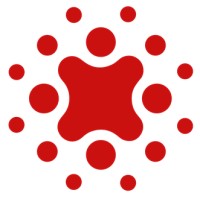 SkyfireAI Inc. logo