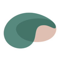 Neura Health, Inc. logo