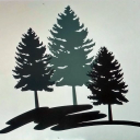 Woodridge Behavioral Care LLC logo