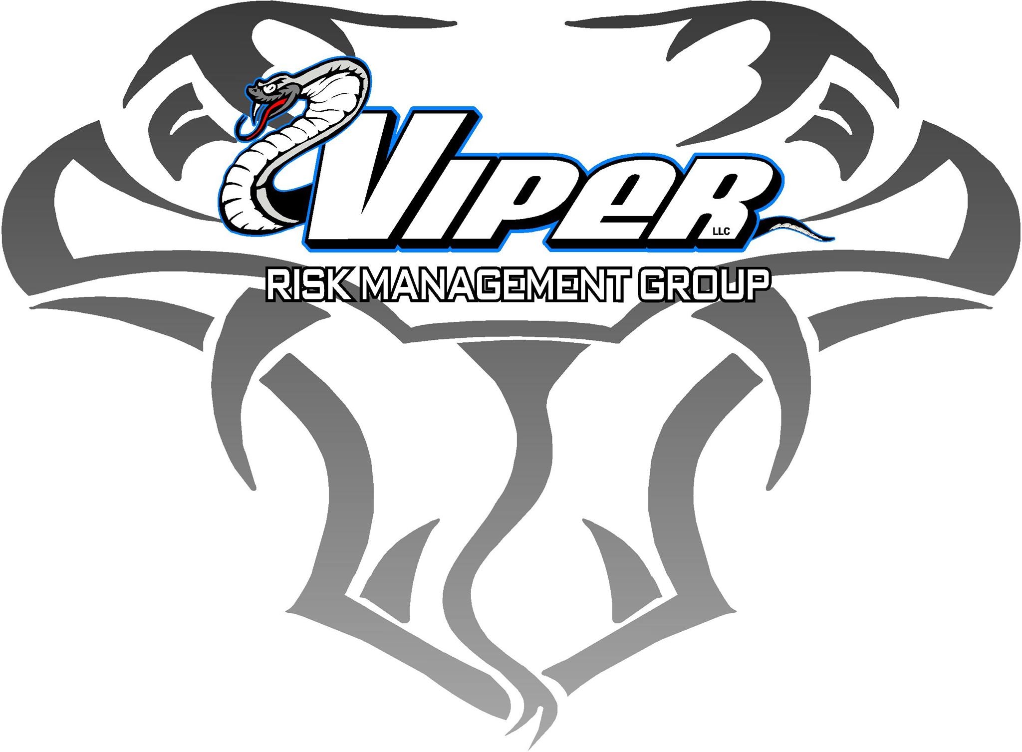 Viper Risk Management Group, LLC logo