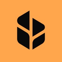 Burst logo