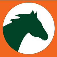 Dark Horse Consulting Group, Inc. logo