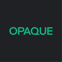 Opaque Systems, Inc. logo