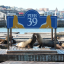 Moor & South Pier Management Co., L. P. logo