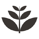 Drewmedia, Inc. logo