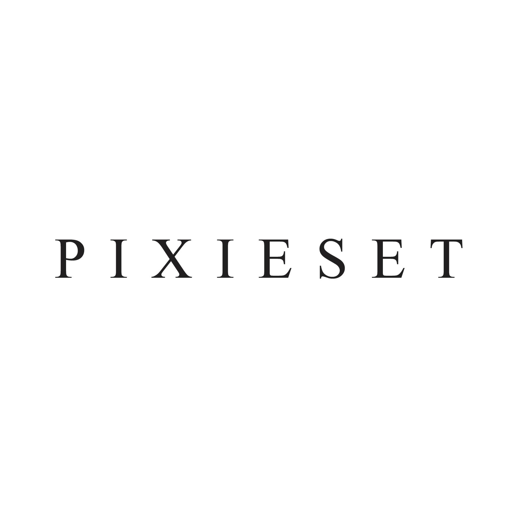 Pixieset Media Inc. logo