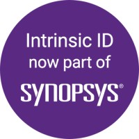 Intrinsic ID logo