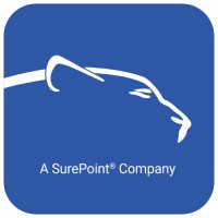 Leopard Solutions LLC logo