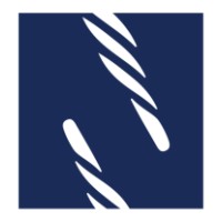 The Narwhal Group logo