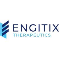 Engitix Ltd. logo