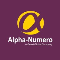 Alpha-Numero Technology Solutions, Inc. logo