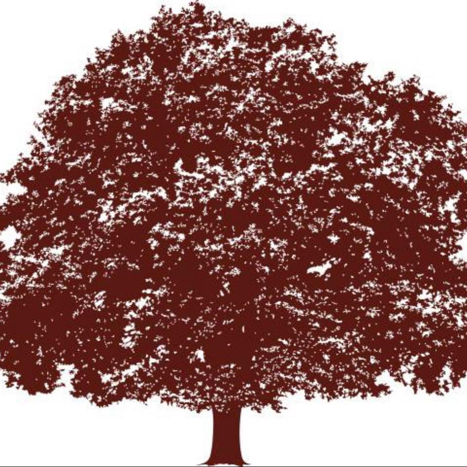 Studemont Group, LP logo