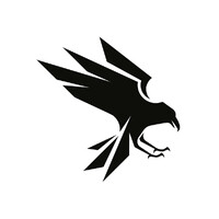 Raven Cloud Inc. logo