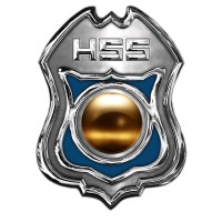 Homeland Safety Systems, Inc. logo